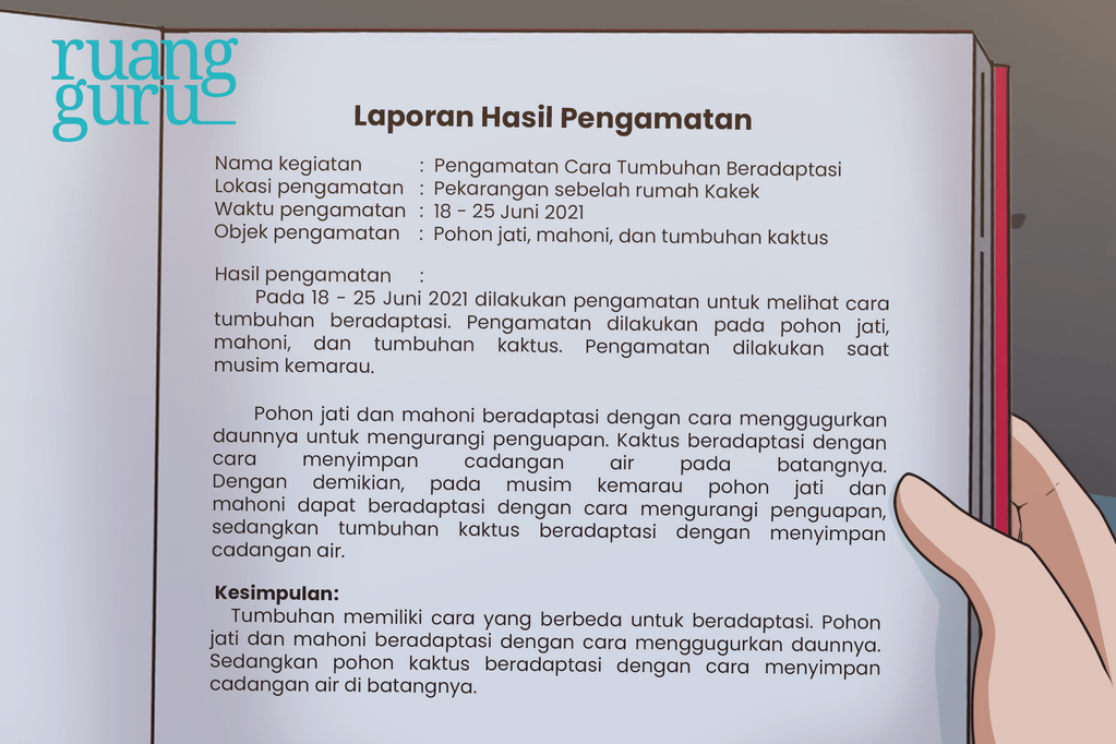 contoh kesimpulan bahasa indonesia